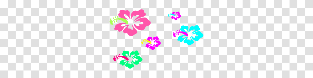 Of Images Icon Cliparts, Hibiscus, Flower, Plant, Blossom Transparent Png
