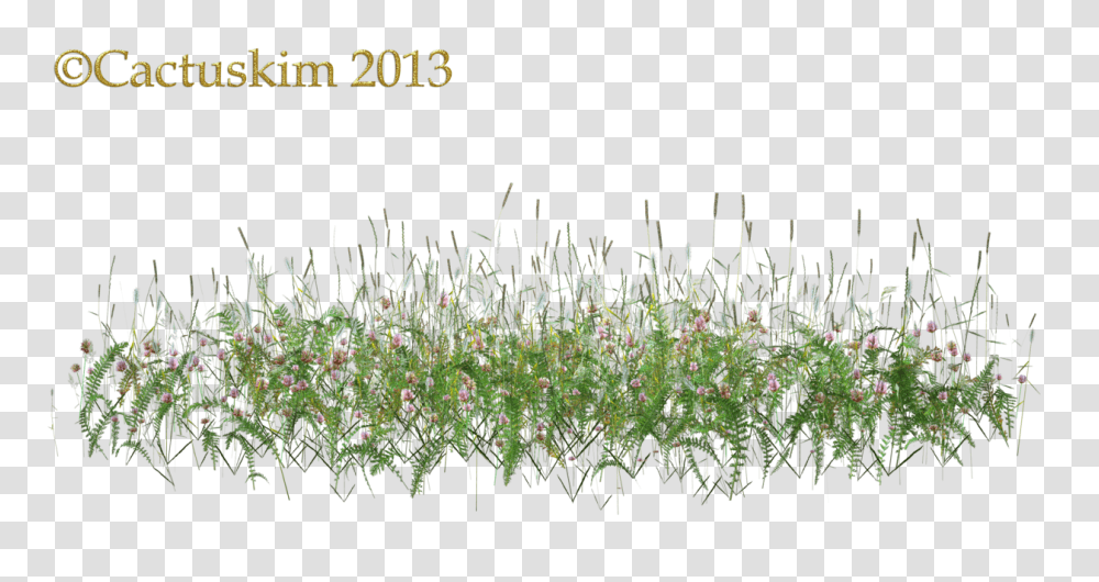 Of Some Wildflowers Flowers In Grass, Plant, Potted Plant, Vase, Jar Transparent Png