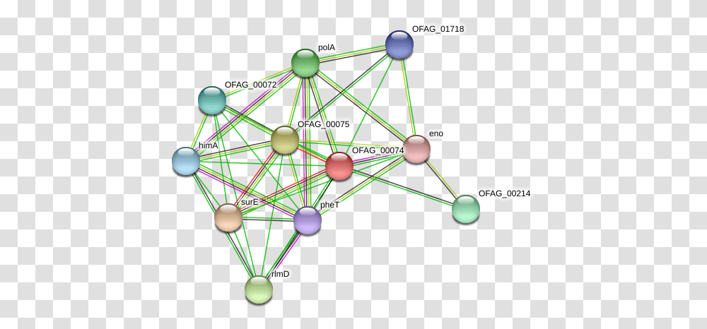 Ofag Protein Circle, Network, Building, Sphere Transparent Png