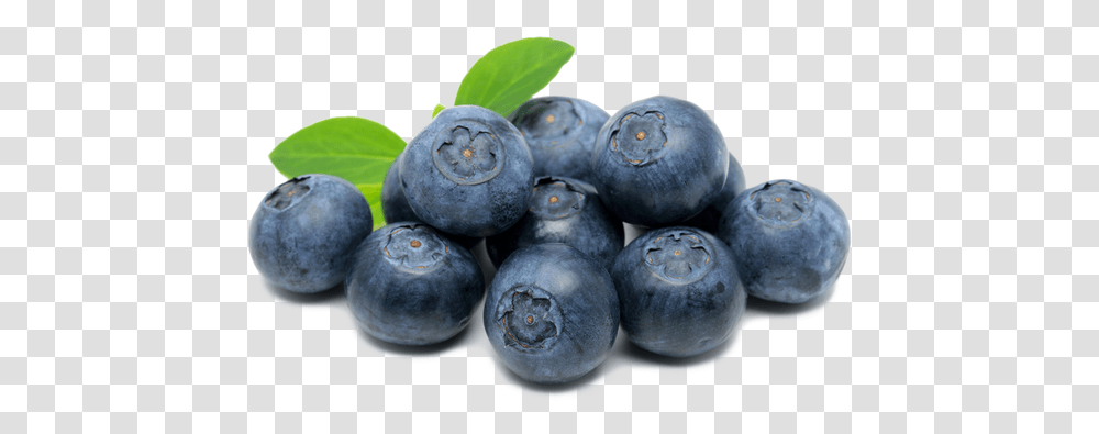 Off Today Blueberry Free, Fruit, Plant, Food Transparent Png