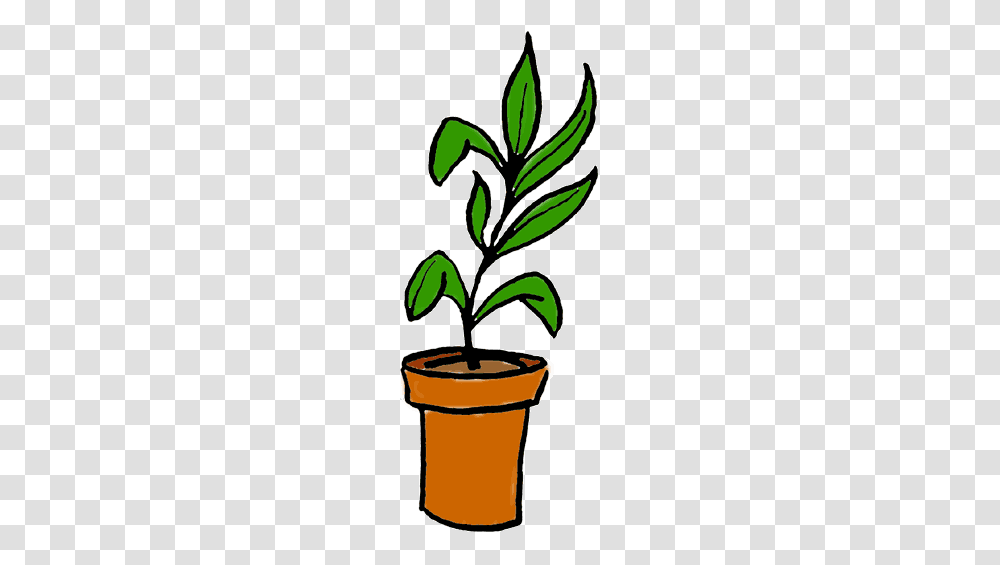 Office Plant Cliparts, Leaf, Tree, Sprout, Vegetation Transparent Png