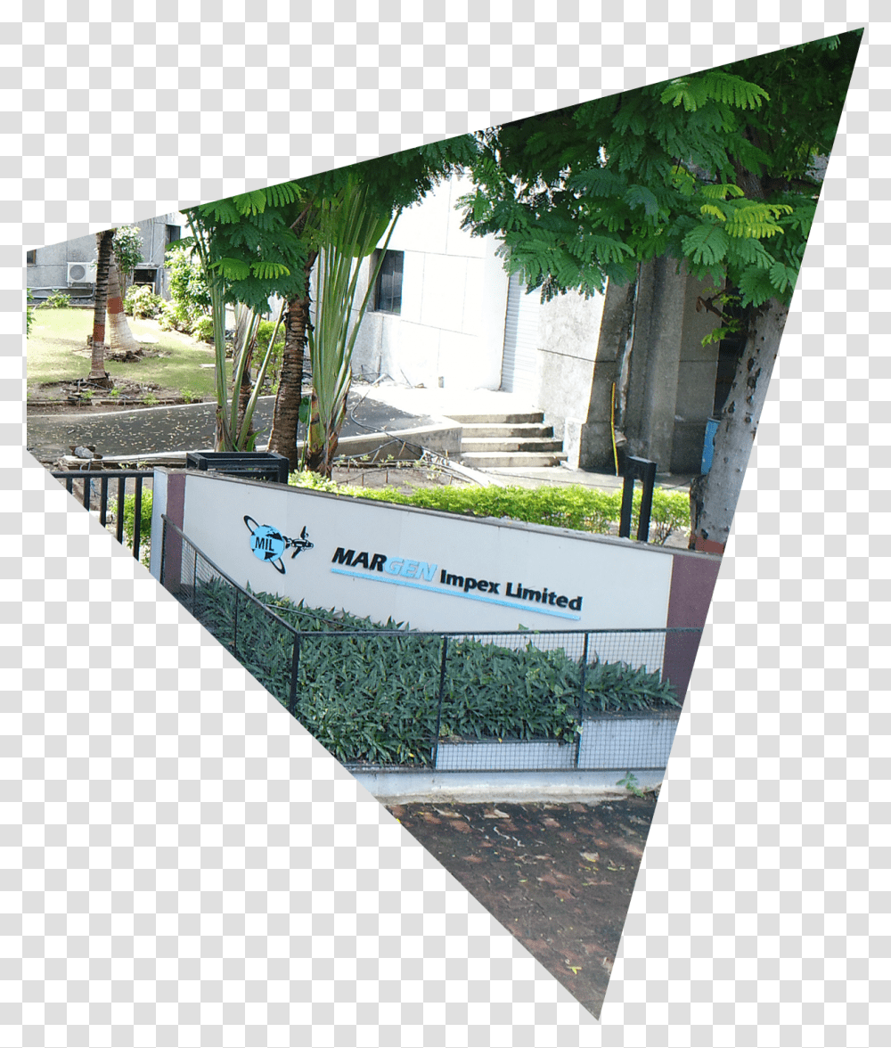 Office Triangle Tree, Outdoors, Plant, Garden, Arbour Transparent Png
