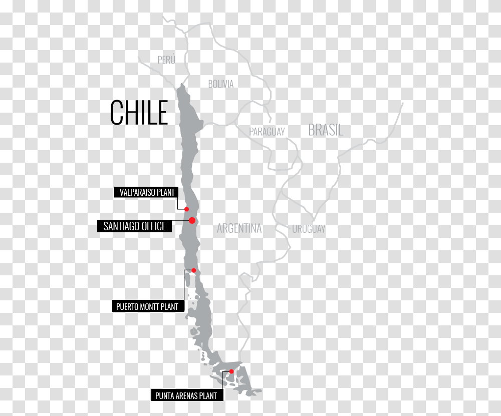 Offices In Chile Mapa Do Chile, Plot, Diagram, Vegetation, Plant Transparent Png