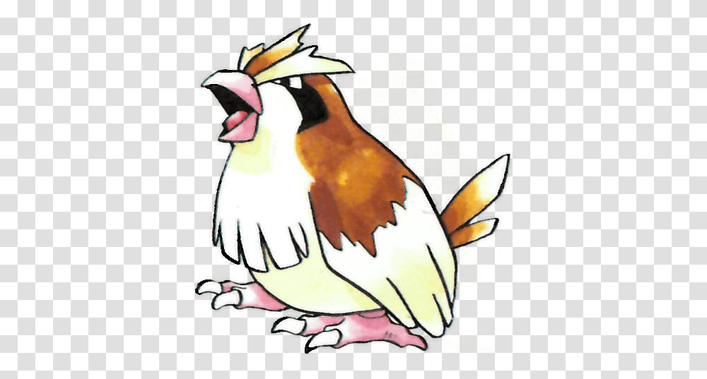 Official Artwork Set For Pidgey Pokemon Red And Blue, Animal, Bird, Drawing, Doodle Transparent Png