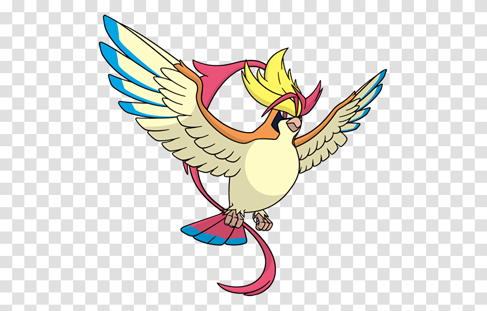 Official Global Link Art Of All The New Megas And Primals Pokemon Mega Pidgeot, Animal, Bird, Cardinal, Beak Transparent Png