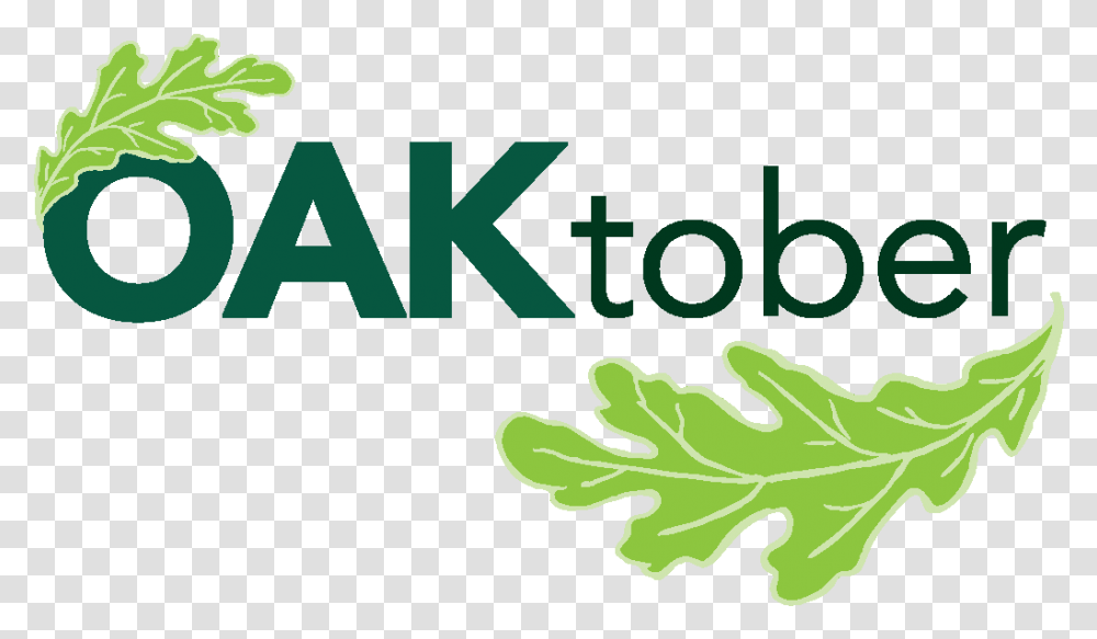 Official Oaktober Flyer Templates Chicago Region Trees Oaktober, Plant, Produce, Food, Grain Transparent Png