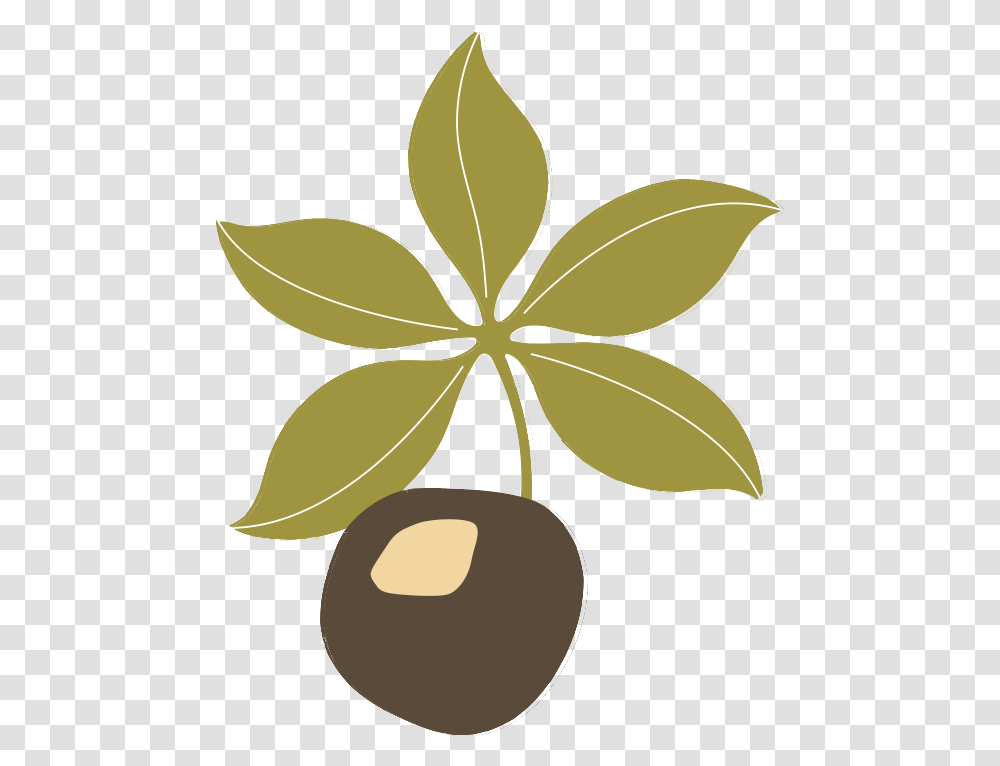 Ohio Clipart Black And White Buckeye Leaf, Plant, Fruit, Food, Cherry Transparent Png