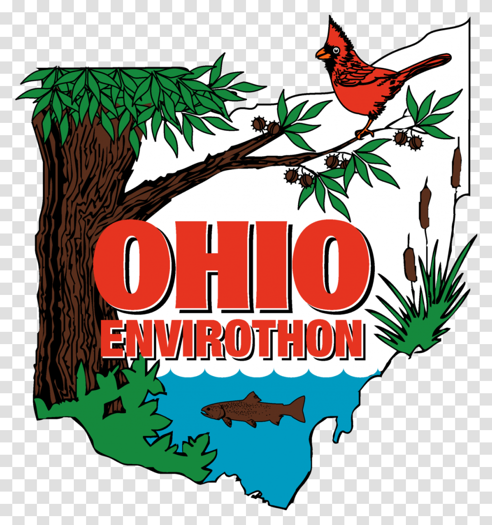 Ohio Federation Of Soil Water Conservation Districts Home, Bird, Animal, Poster, Advertisement Transparent Png