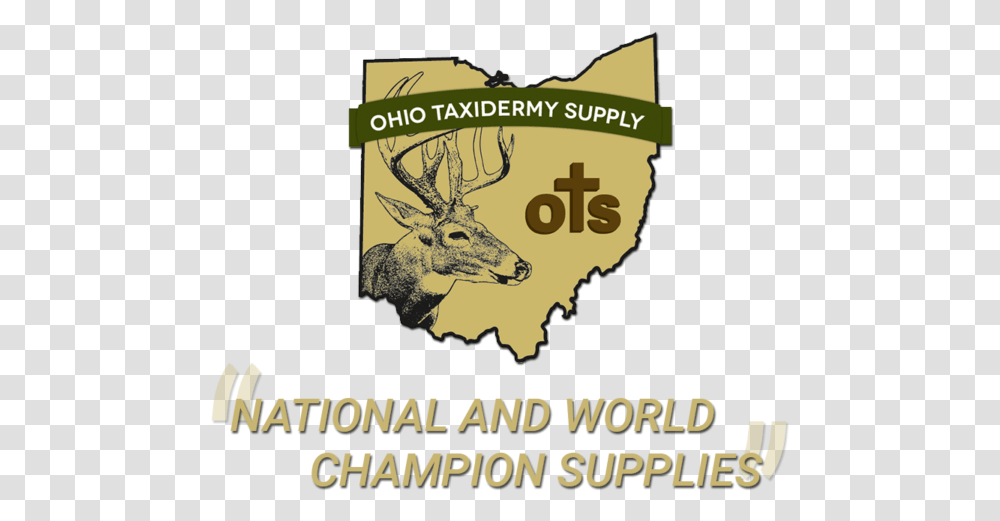 Ohio Shape, Deer, Wildlife, Mammal, Animal Transparent Png