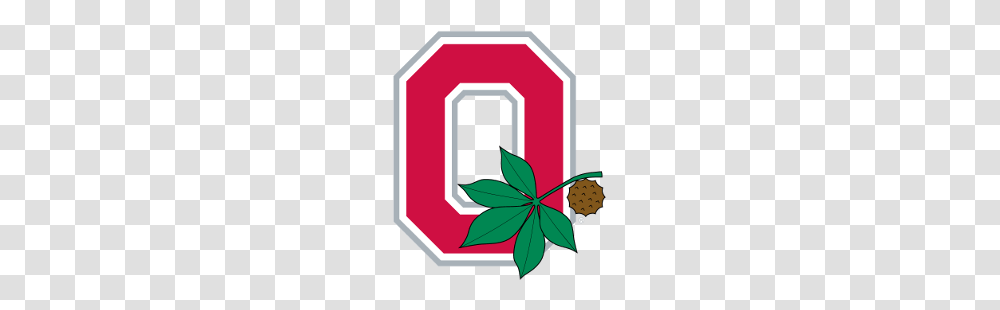 Ohio State Buckeyes Alternate Logo Sports Logo History, Plant, Tree, Leaf Transparent Png