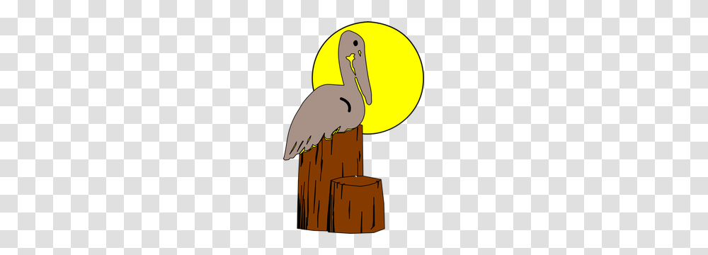 Ohio State Buckeyes Clip Art Free, Bird, Animal, Pelican, Dodo Transparent Png