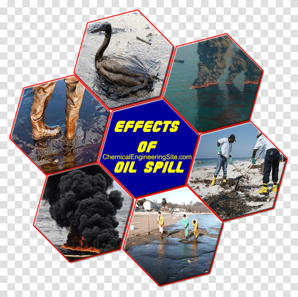 Oil Spill, Collage, Poster, Advertisement, Person Transparent Png