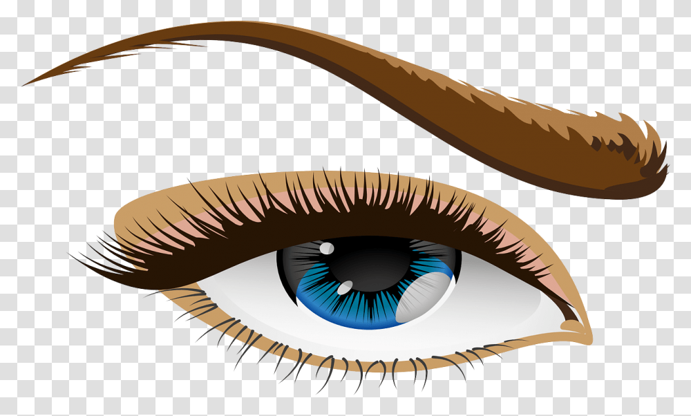 Ojo Ojos Azules Prpado Iris Las Cejas Cejas Eye With Lashes, Animal, Contact Lens, Clam Transparent Png