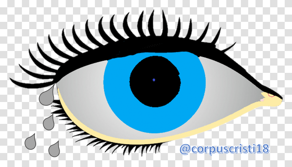 Ojooo Eye, Electronics, Microphone, Electrical Device, Contact Lens Transparent Png