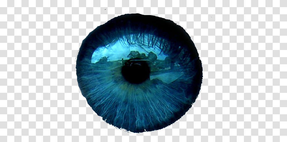 Ojos Azules Picsart Eye Lens, Sea Life, Animal, Accessories, Accessory Transparent Png
