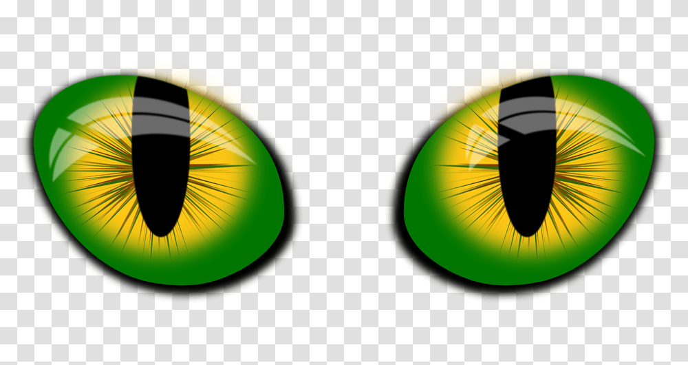 Ojos De Gato Image, Sphere, Plant Transparent Png