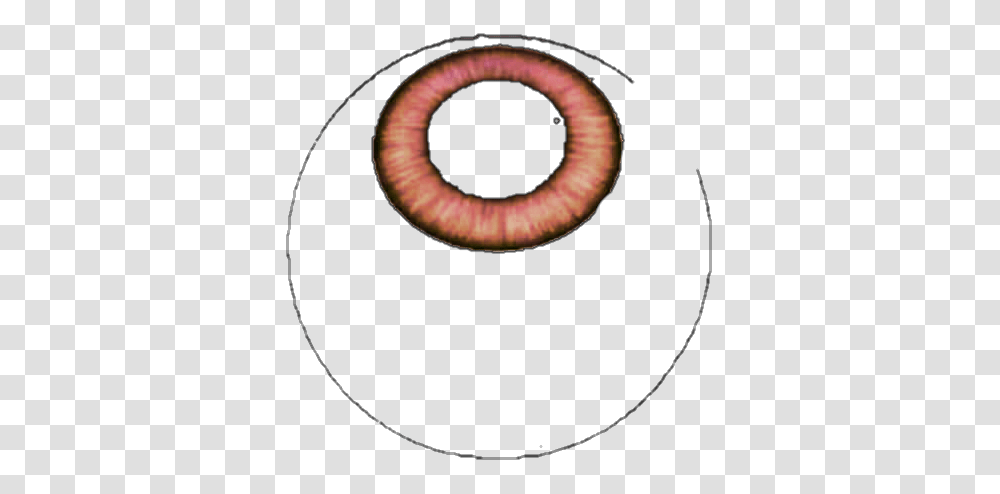 Ojos Nebulous Mundial, Worm, Invertebrate, Animal, Photography Transparent Png