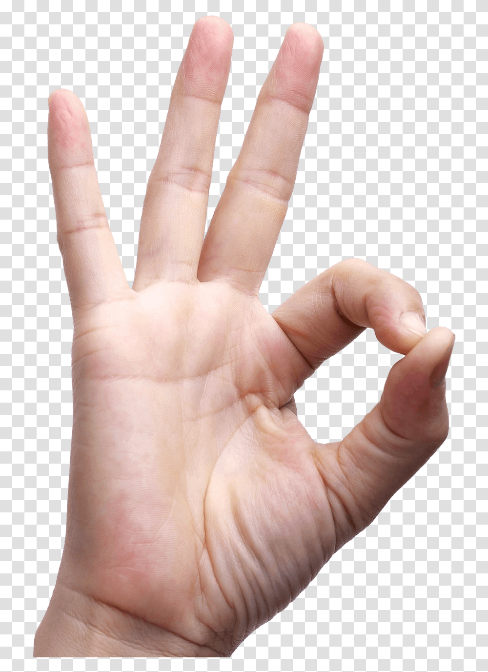 Ok Finger Hand Sign Language Hand Ok Sign, Person, Human, Wrist, Skin Transparent Png
