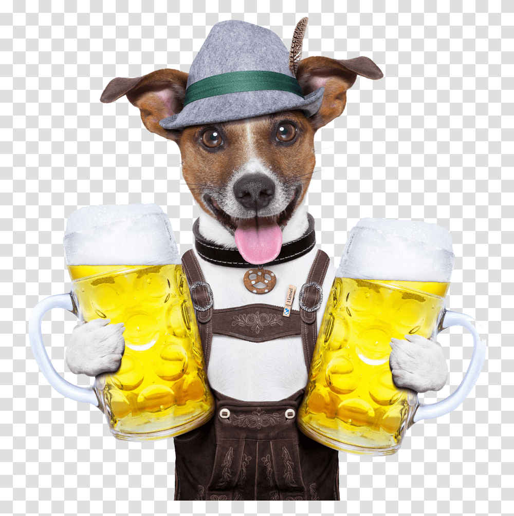 Oktoberfest Cuisine German Photography Dog Beer Holding Happy Birthday Beer Dog, Glass, Beer Glass, Alcohol, Beverage Transparent Png