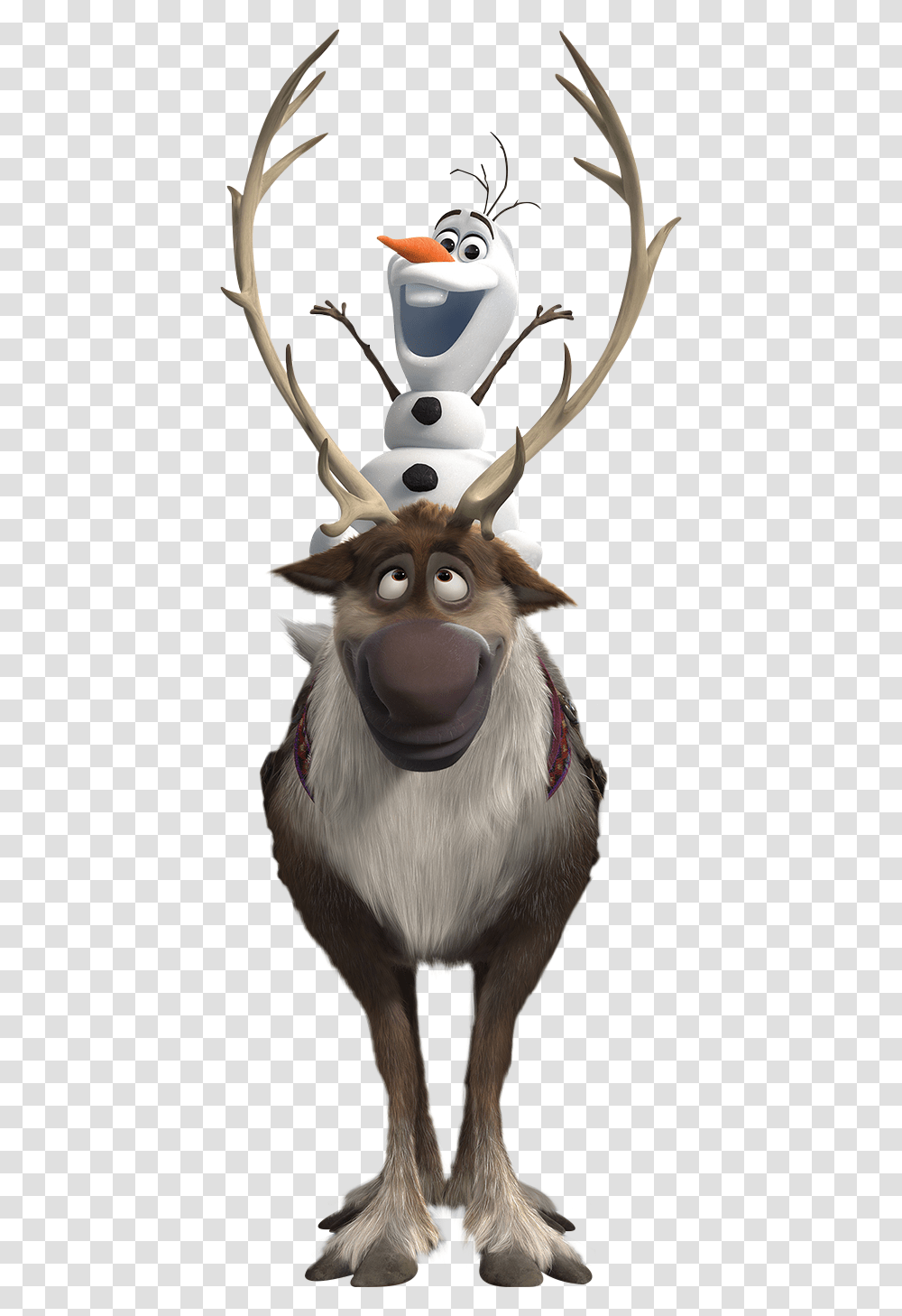 Olaf And Sven, Chicken, Poultry, Fowl, Bird Transparent Png