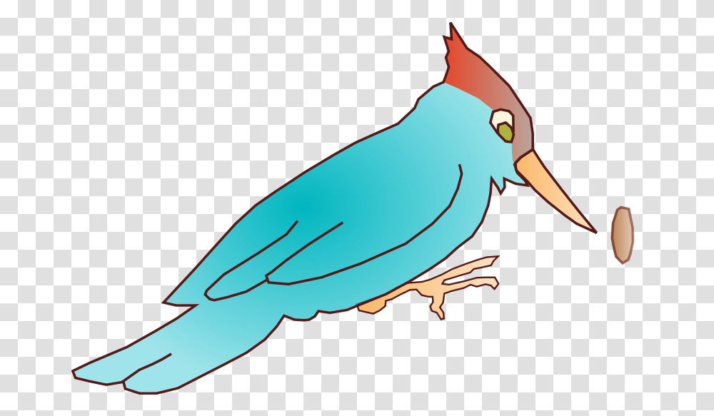 Olav 2 Woodpecker, Animals, Beak, Bird, Finch Transparent Png