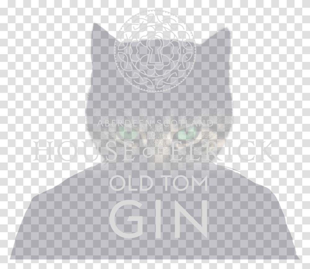 Old Banner Black Cat, Poster, Advertisement, Person Transparent Png