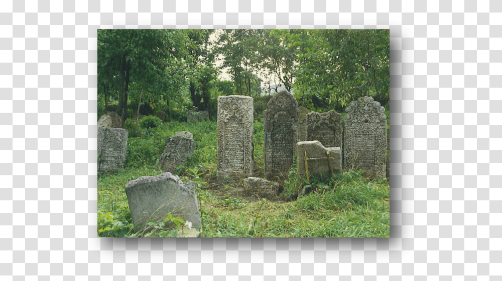 Old Cemetery Old Cemetery, Tomb, Tombstone, Grove, Woodland Transparent Png