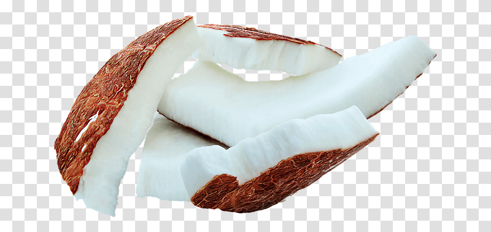 Old Coconut Meat Calories, Plant, Food, Fruit, Vegetable Transparent Png