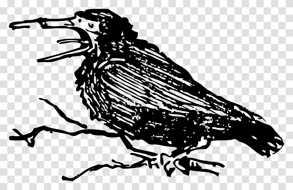 Old Crow Clip Arts Old Crow Bird, Gray, World Of Warcraft Transparent Png