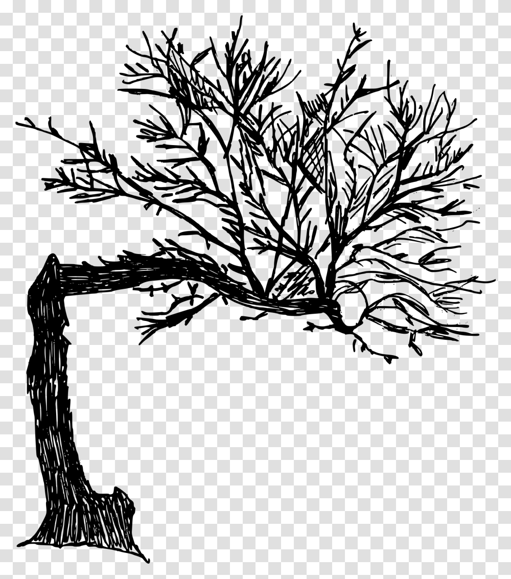 Old Drawn Tree, Gray, World Of Warcraft Transparent Png