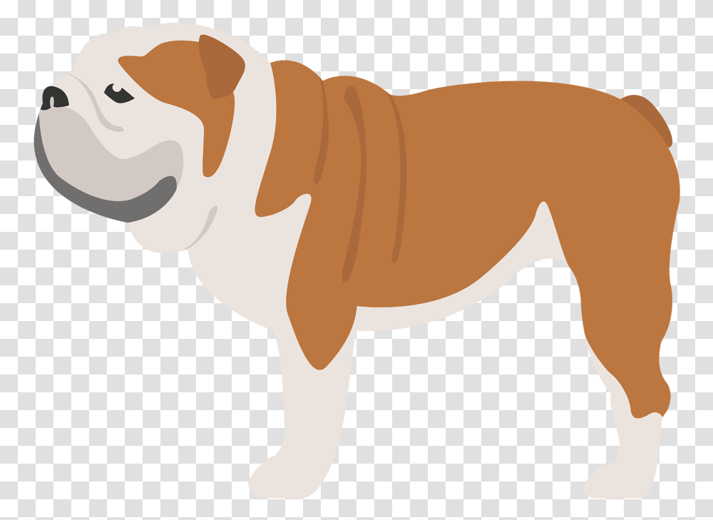 Old English Bulldog Dog Breed Bullmastiff Caucasian Iconos De Bulldog Ingles, Pet, Canine, Animal, Mammal Transparent Png