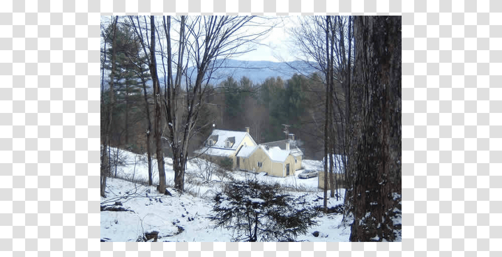 Old Farm House At The End Of A Dirt Road Snow, Tree, Plant, Vegetation, Cottage Transparent Png
