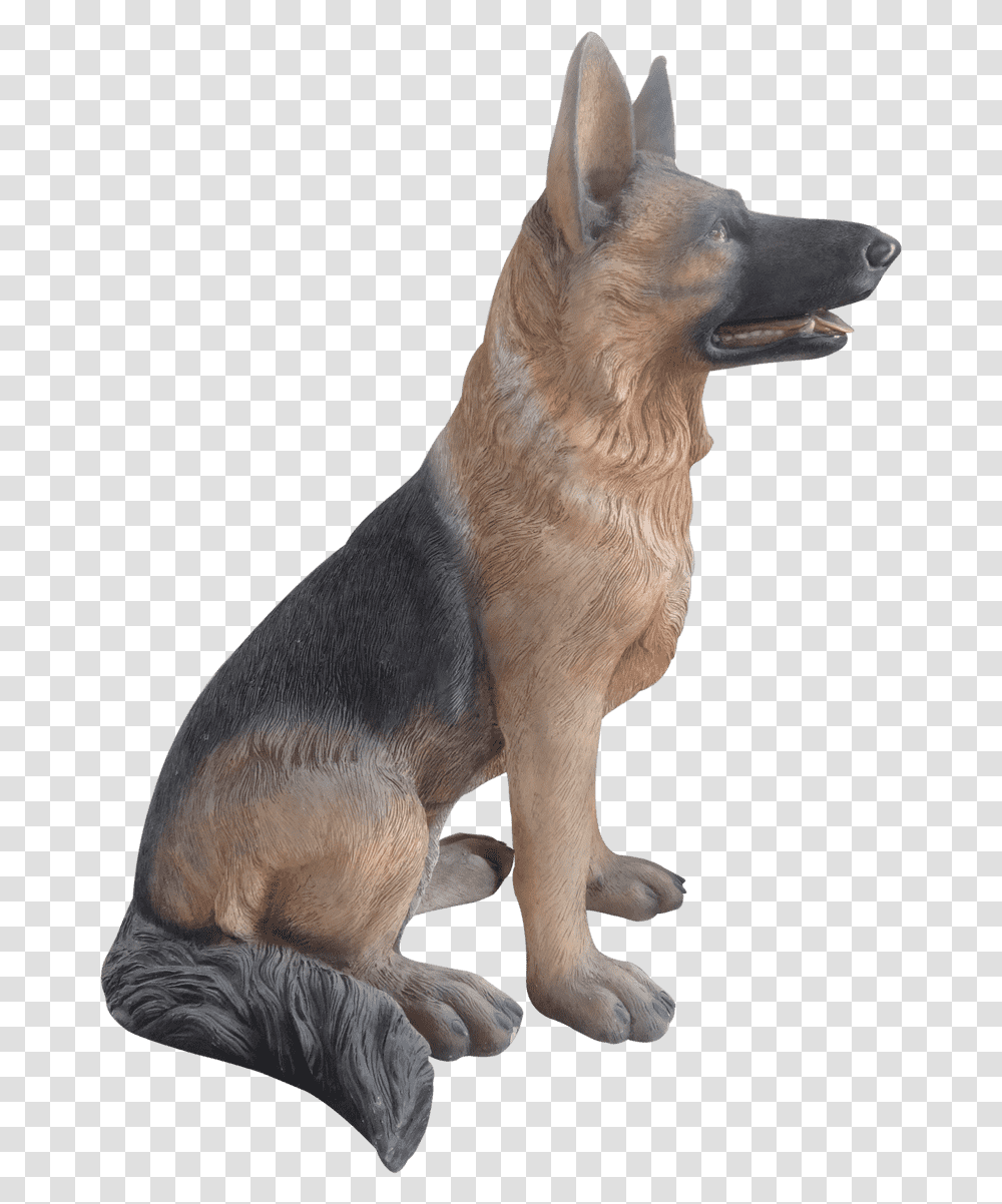 Old German Shepherd Dog, Animal, Mammal, Pet, Canine Transparent Png