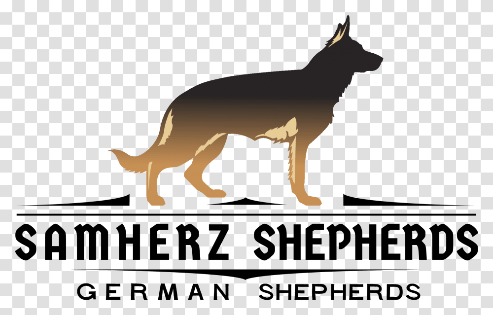 Old German Shepherd Dog Download, Animal, Mammal, Kangaroo, Wallaby Transparent Png