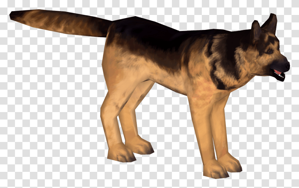 Old German Shepherd Dog, Horse, Mammal, Animal, Pet Transparent Png