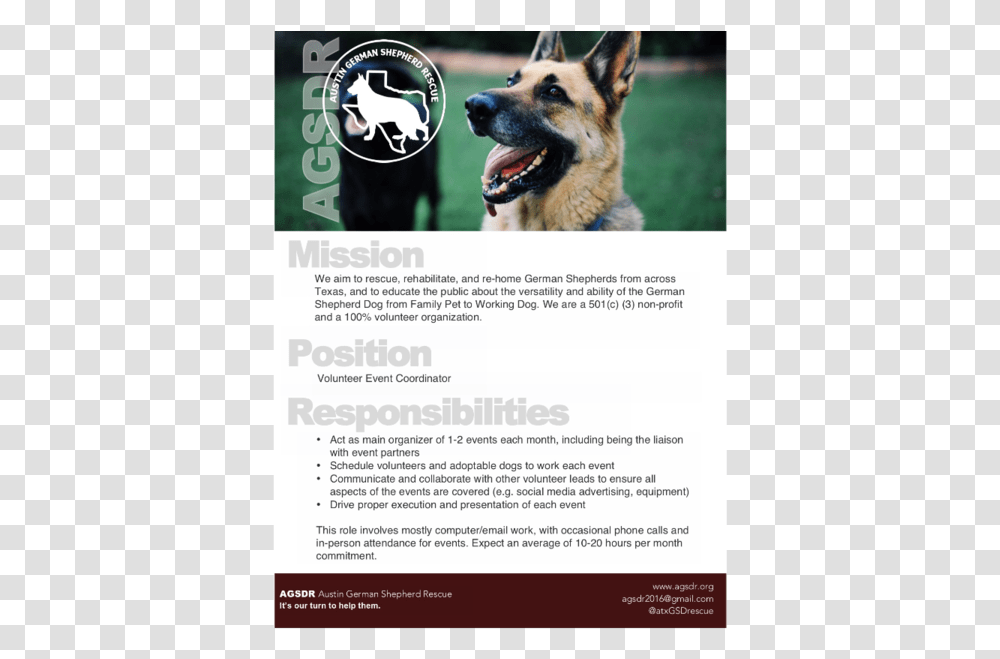 Old German Shepherd Dog, Pet, Canine, Animal, Mammal Transparent Png