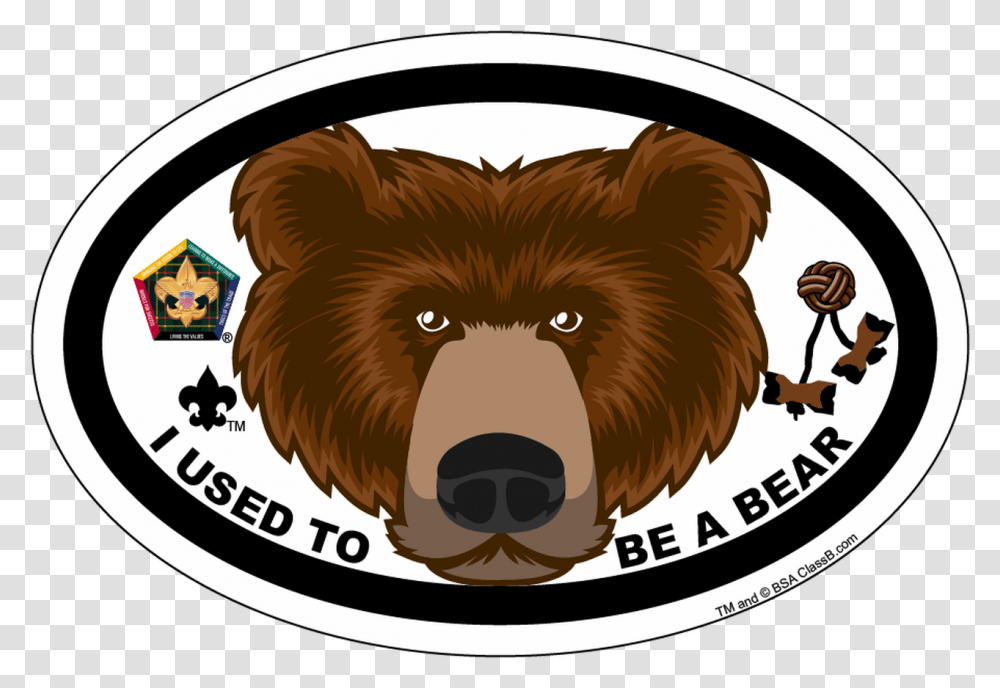 Old Logo Wood Badge Bear Critter Oval Magnet Wood Badge, Mammal, Animal, Wildlife, Brown Bear Transparent Png