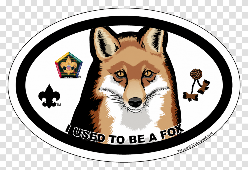 Old Logo Wood Badge Fox Oval Magnet Boy Scouts Of America, Wildlife, Animal, Mammal, Red Fox Transparent Png