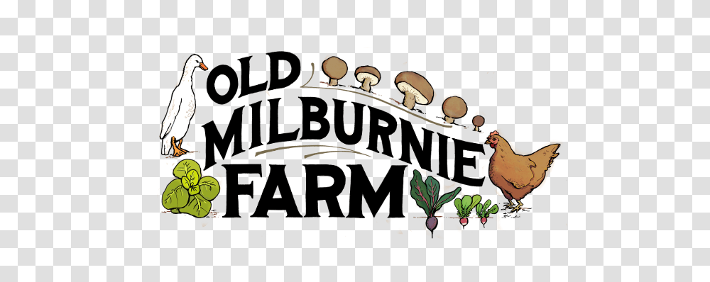 Old Milburnie Farm Is Located, Plant, Bird, Animal, Food Transparent Png