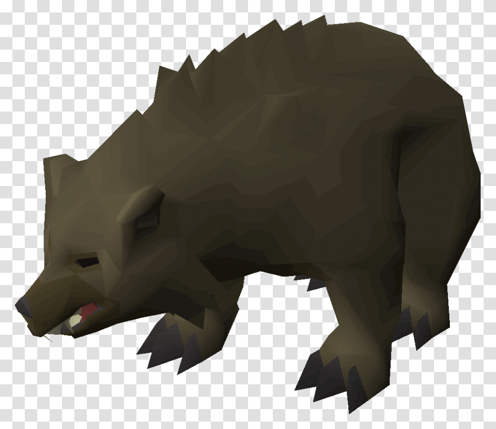 Old School Runescape Wiki Bear Spawns Osrs, Animal, Mammal, Wildlife, Reptile Transparent Png