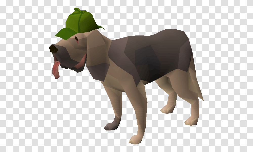 Old School Runescape Wiki Osrs Clue Scroll Pet, Animal, Dinosaur, Reptile, Mammal Transparent Png