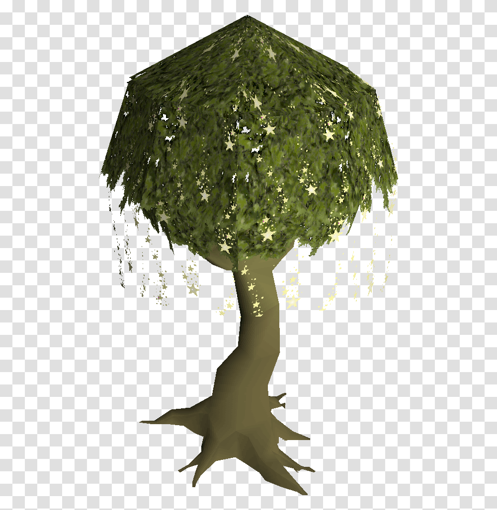Old School Runescape Wiki Runescape Magic Tree, Plant, Green, Leaf, Vegetation Transparent Png