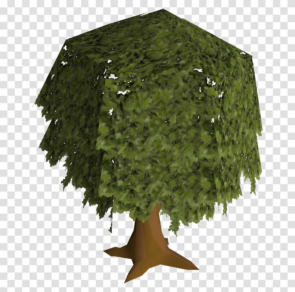 Old School Runescape Wiki Tree, Plant, Pottery, Sphere, Vase Transparent Png