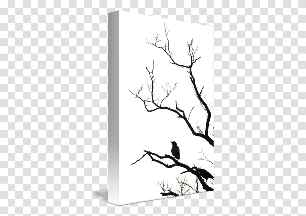 Old Tree Crows Twig, Bird, Animal, Silhouette, Blackbird Transparent Png