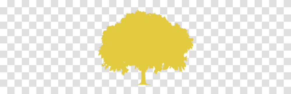 Old Tree Design Oldtreedesign Twitter Twin Oaks Mansion, Silhouette, Outdoors, Nature, Plant Transparent Png