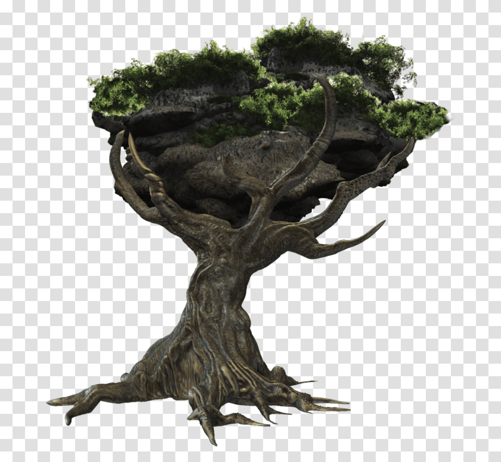 Old Tree Fantasy Tree, Plant, Cross, Potted Plant Transparent Png