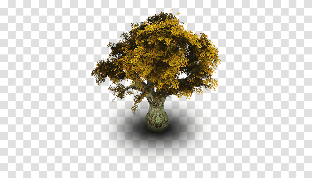 Old Tree Psd Official Psds Tree Icon, Plant, Sphere, Mineral, Outer Space Transparent Png