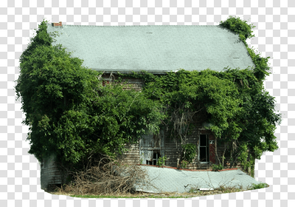 Old Tree Tree House, Nature, Outdoors, Building, Shack Transparent Png
