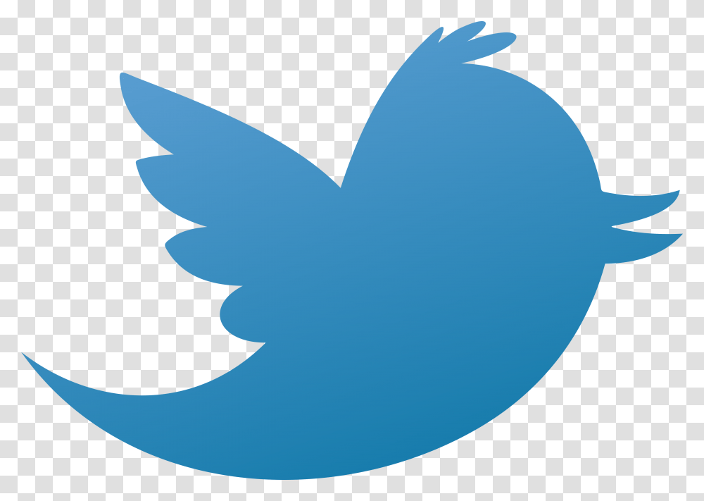 Old Twitter Logo, Shark, Animal, Bird Transparent Png