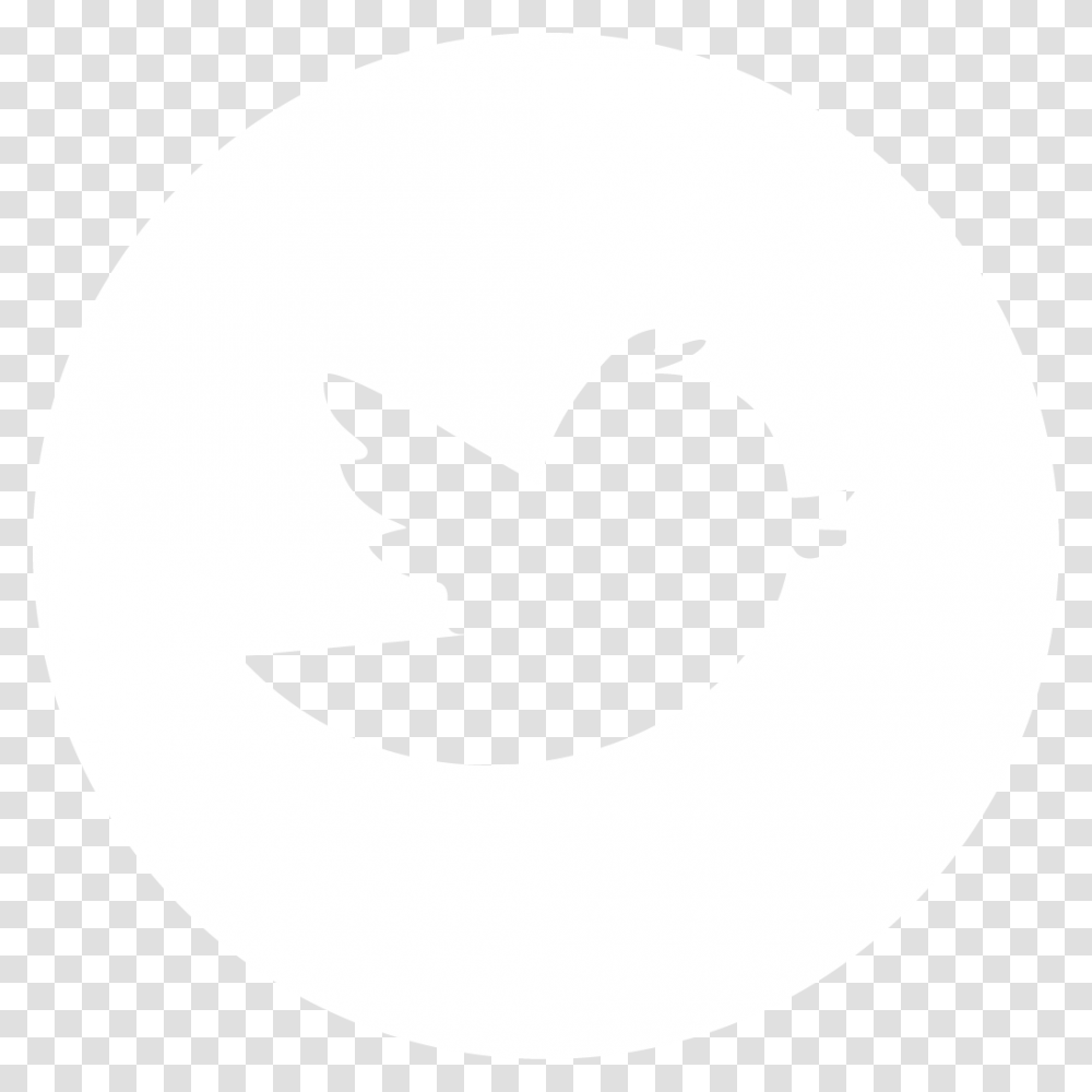 Old Twitter Logo, White, Texture, White Board Transparent Png